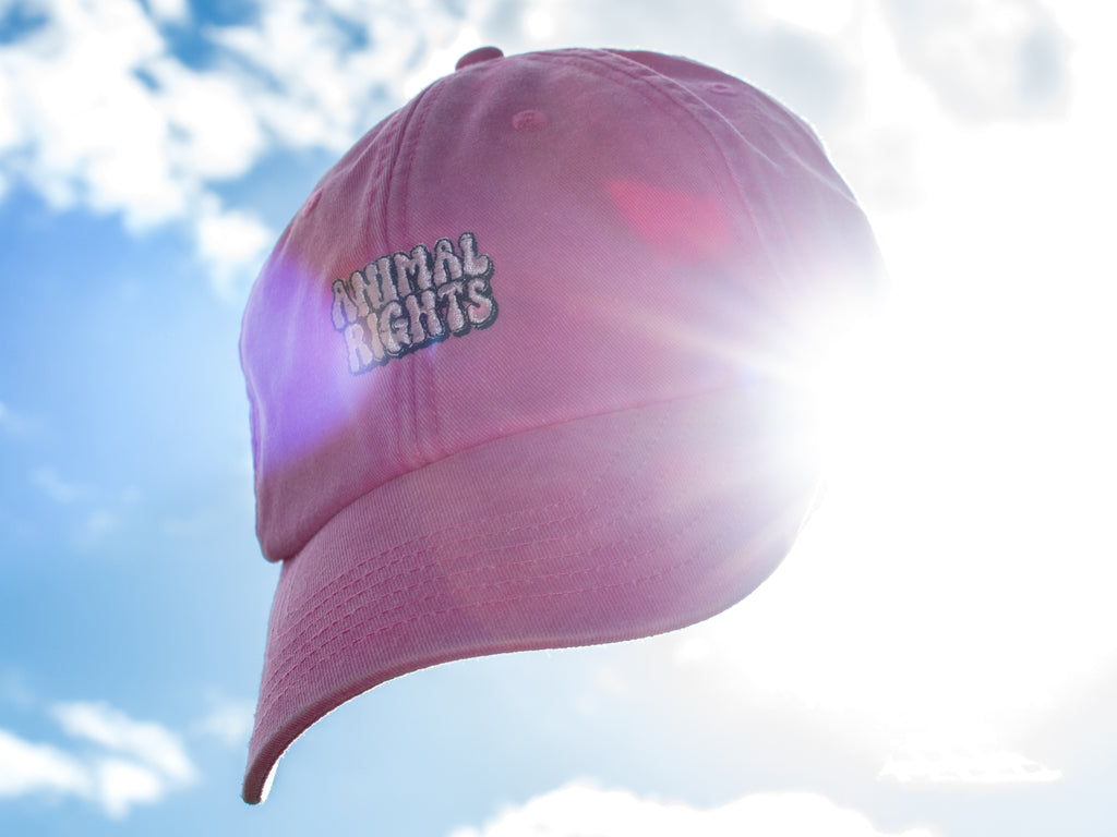 Animal Rights Vintage Cap